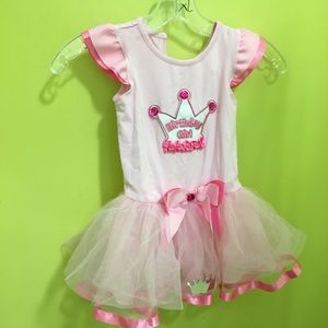 Birthday girl dress! 2-3t
